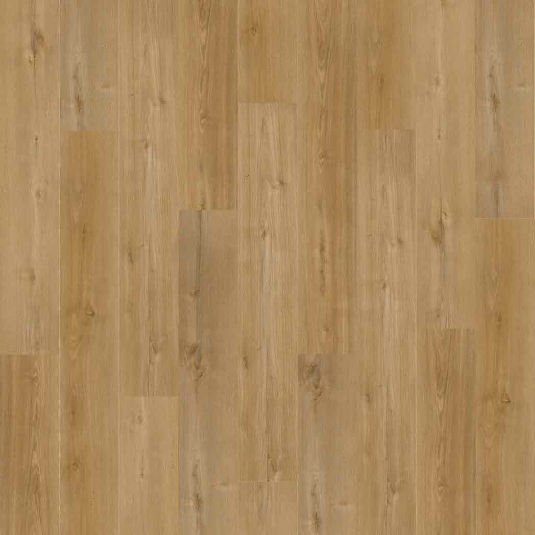 Engineered Floors PureGrain Endure DLVT Epic R036 Magical 6018