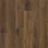 Engineered Floors WPC LVT Advantage W020 Autumn 2001