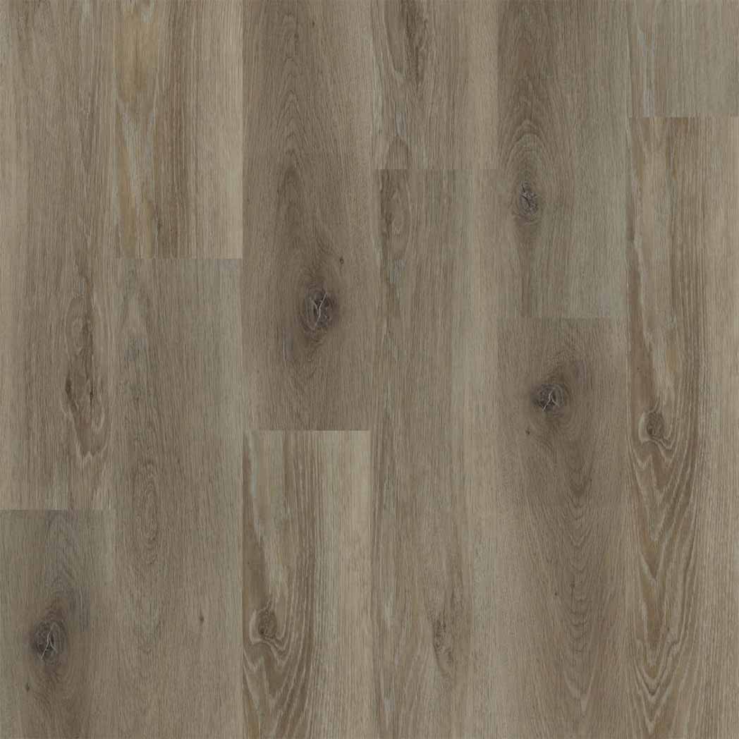 Engineered Floors WPC LVT Advantage W020 Oak Ridge 2010