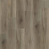 Engineered Floors WPC LVT Advantage W020 Oak Ridge 2010
