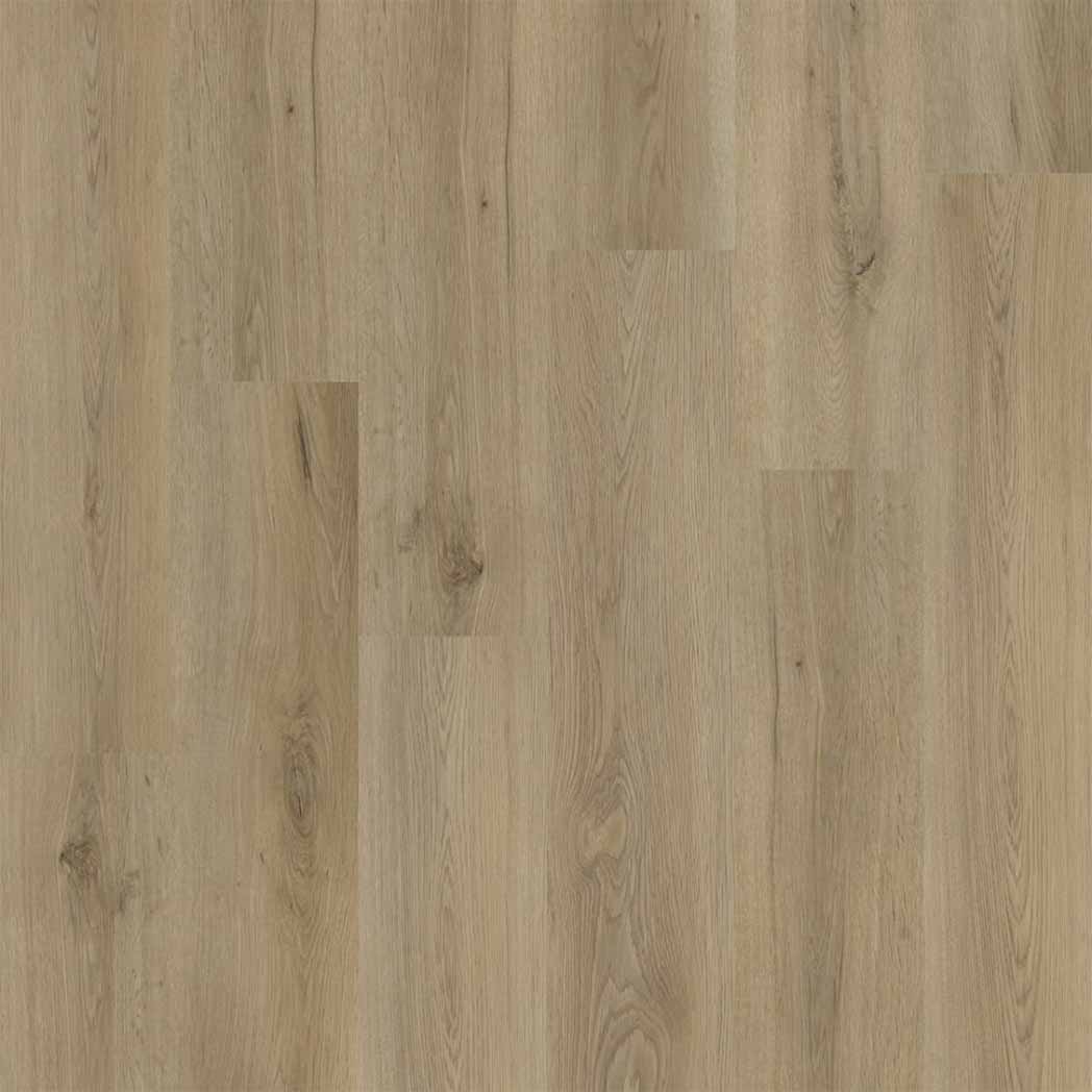 Engineered Floors WPC LVT Elevate WP021 Edgewood 2104