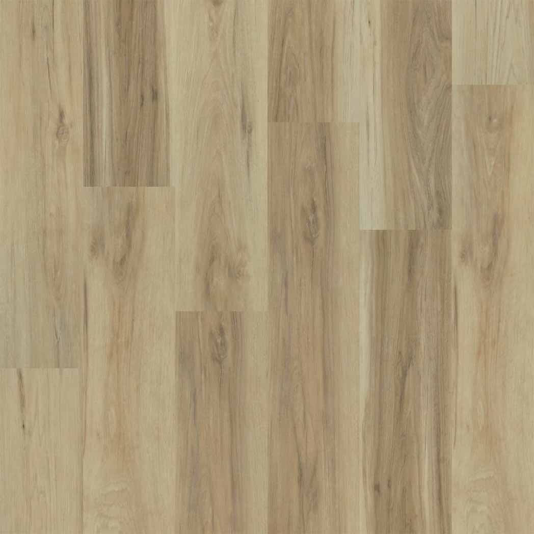 Engineered Floors WPC LVT Elevate WP021 Sierra 2105