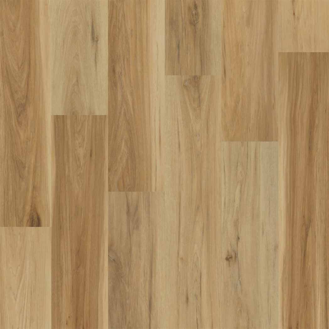 Engineered Floors WPC LVT Elevate WP021 Sonesta 2101