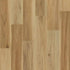 Engineered Floors WPC LVT Elevate WP021 Sonesta 2101