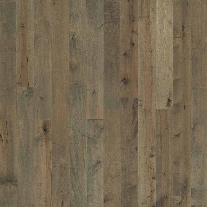 Hallmark Floors Novella Maple Engineered Hardwood