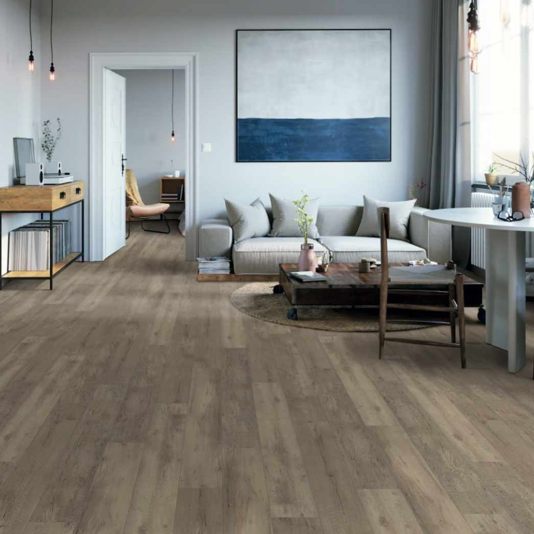 Happy Feet Glue Down LVP All Star II European Oak HF256 room