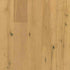 Hartco Engineered Hardwood Timberbrushed Bronze Streaming Sunlight HAREKTB53L02W