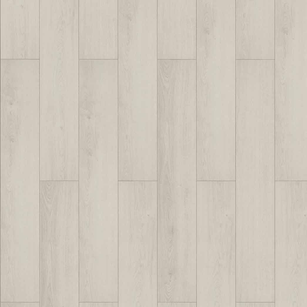 Inhaus Laminate Visions Darwin INH56353