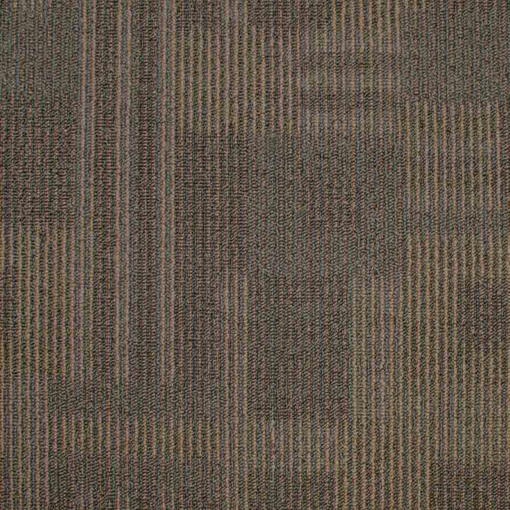 Kraus Carpet Tile Dimensions Tile 7223C Sand Script 02