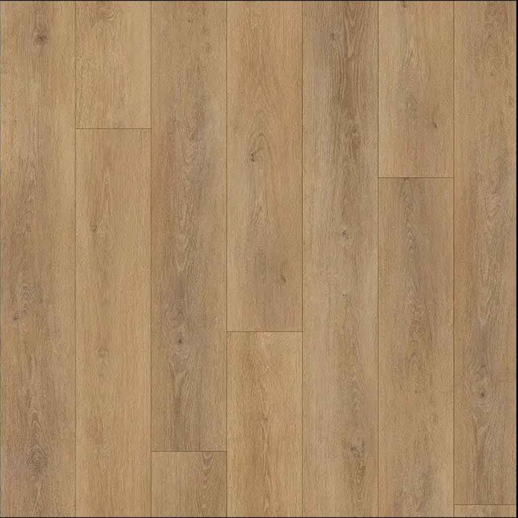 Landmark Interiors Glue Down LVP Backwoods Harmony BW-04-22