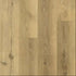 Legendary Floors SPC LVP Arden II 30222 Levis 7