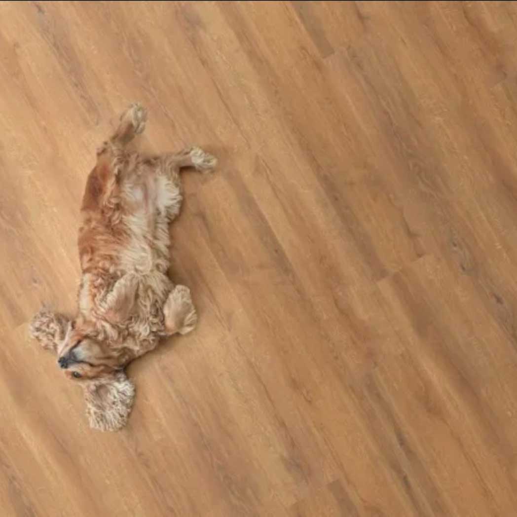 Legendary Floors SPC LVP Costello 30960 Draper 03 room