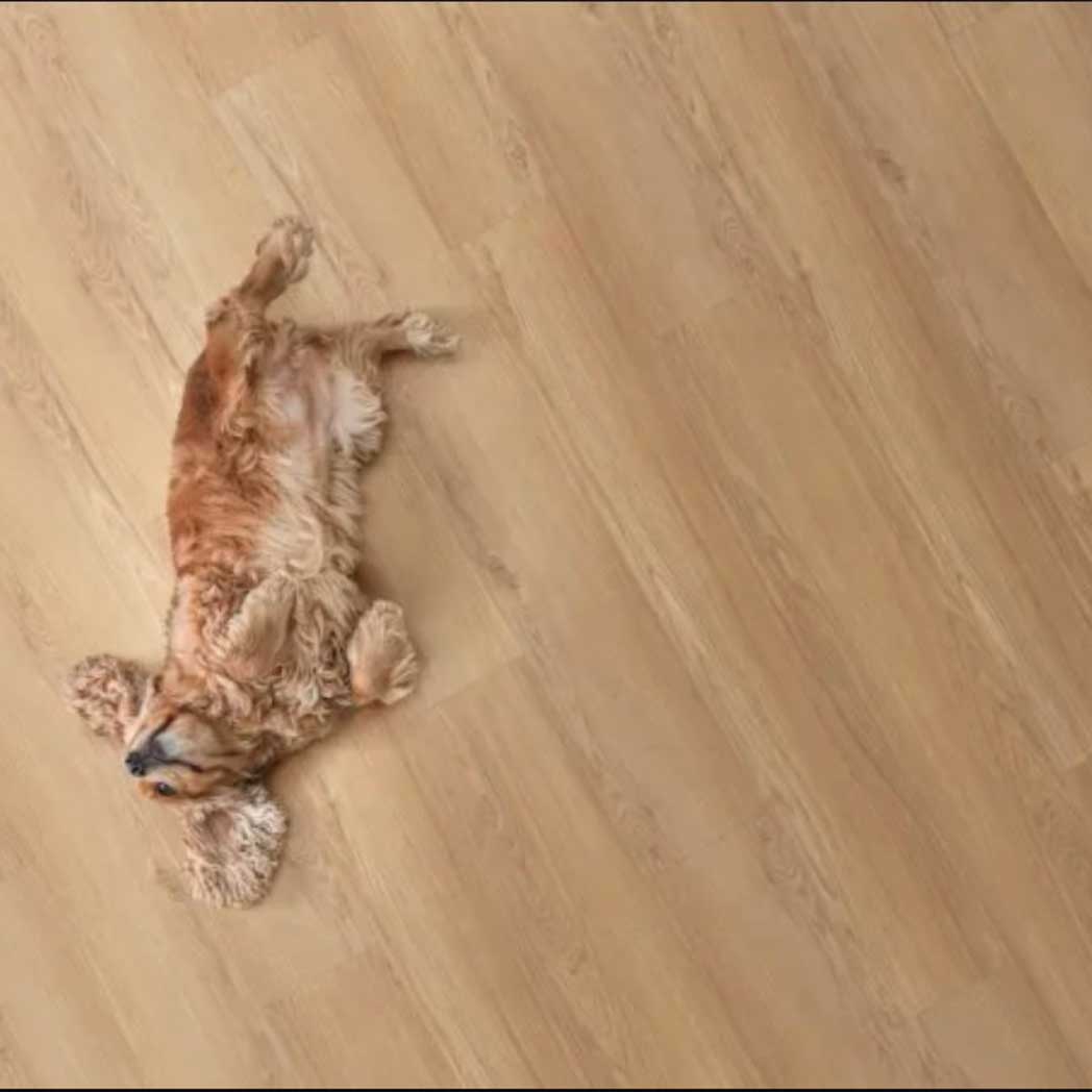 Legendary Floors SPC LVP Costello 30960 Greer 01 room