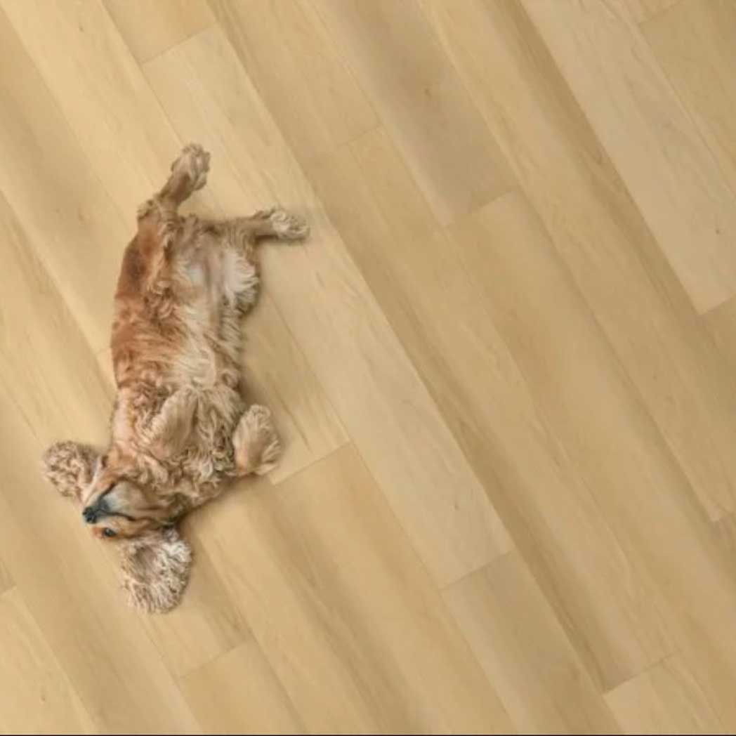 Legendary Floors SPC LVP Costello 30960 Haddish 04 room