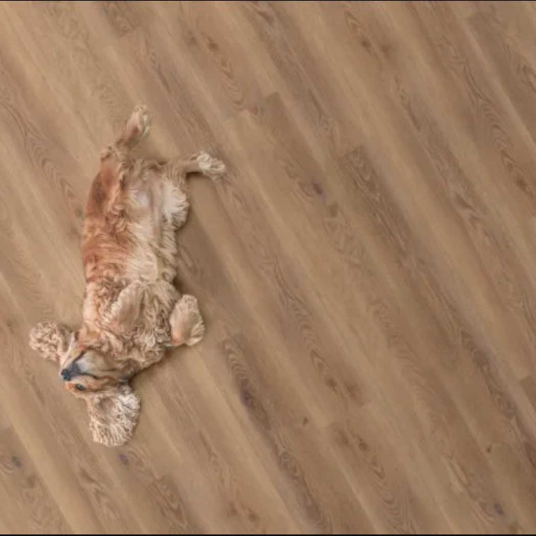 Legendary Floors SPC LVP Costello 30960 Olympia 02 room