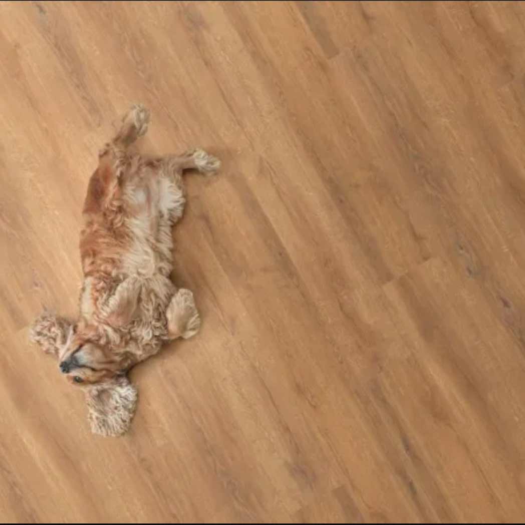 Legendary Floors WPC LVP Cambridge 70960 Dorset 03 room