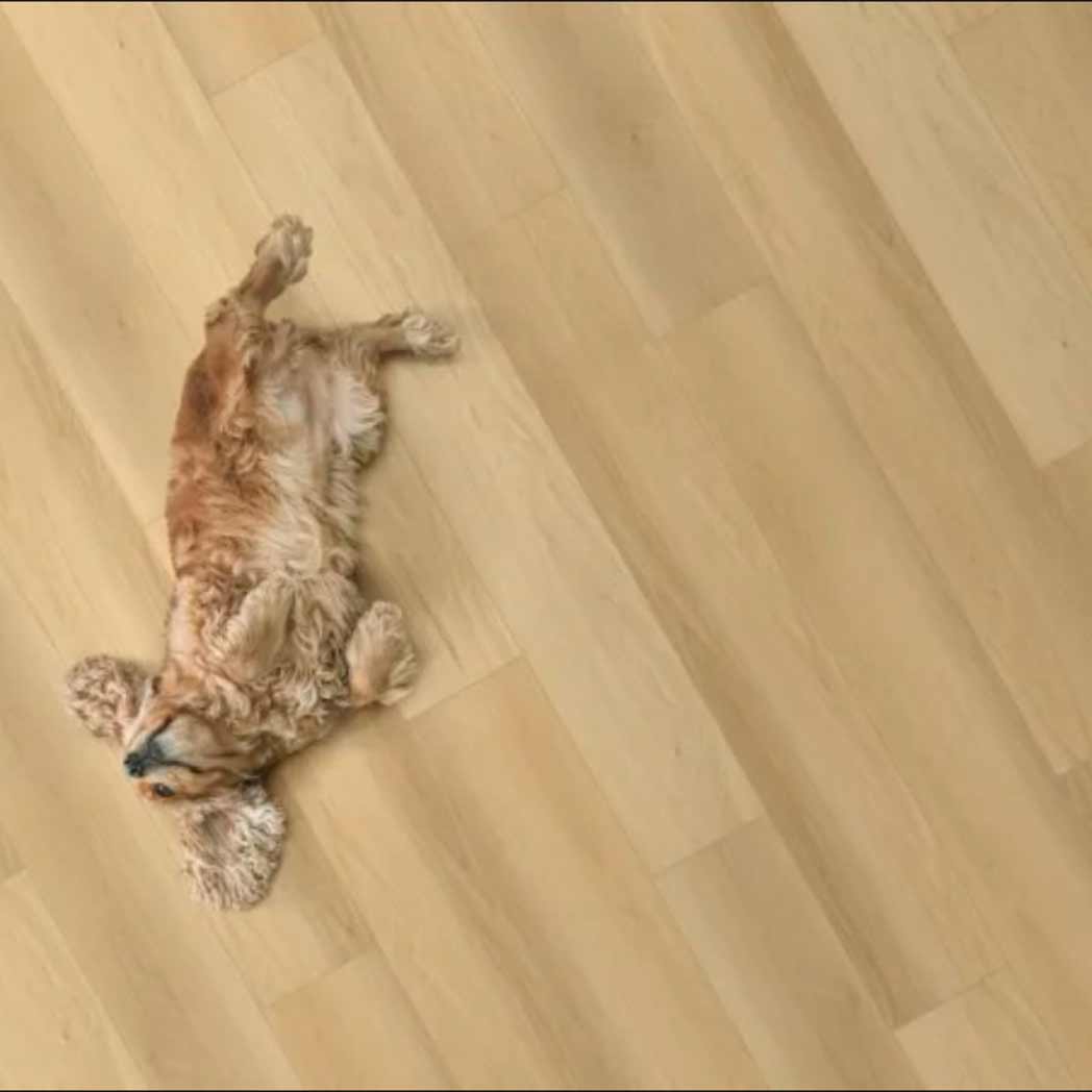 Legendary Floors WPC LVP Cambridge 70960 Hartley 04 room