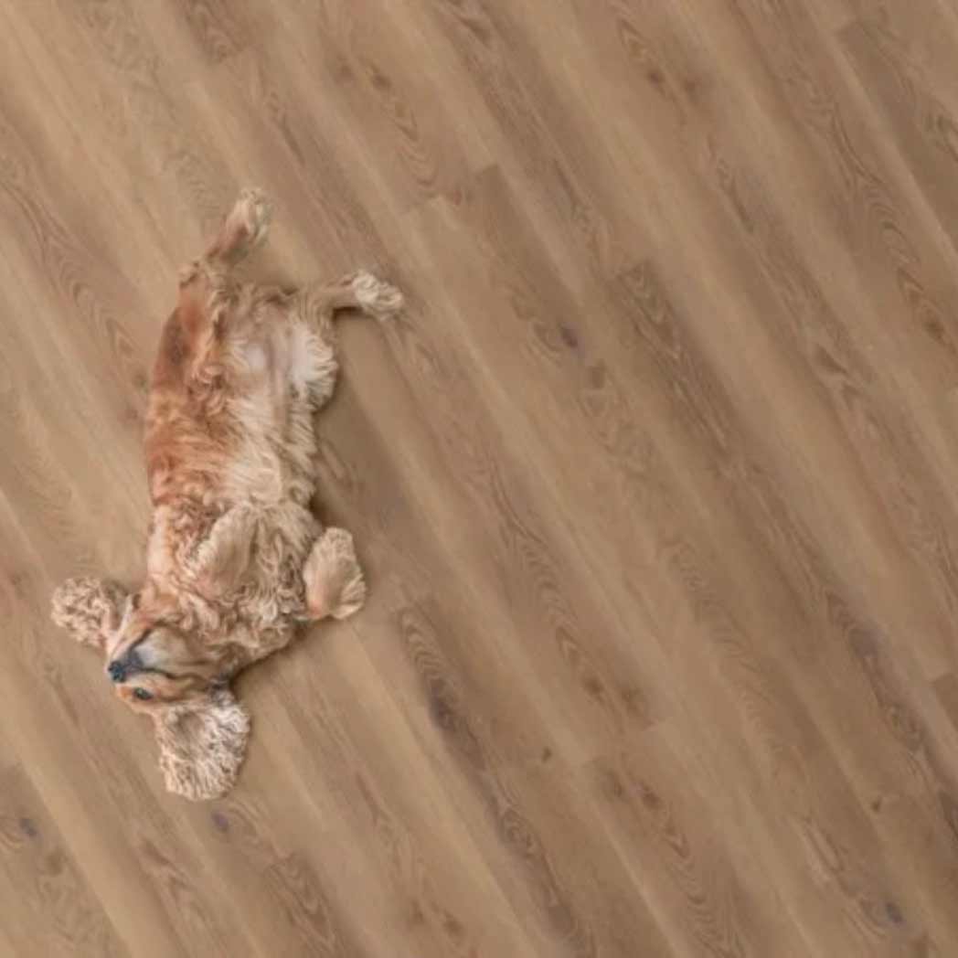 Legendary Floors WPC LVP Cambridge 70960 Oakdale 02 room