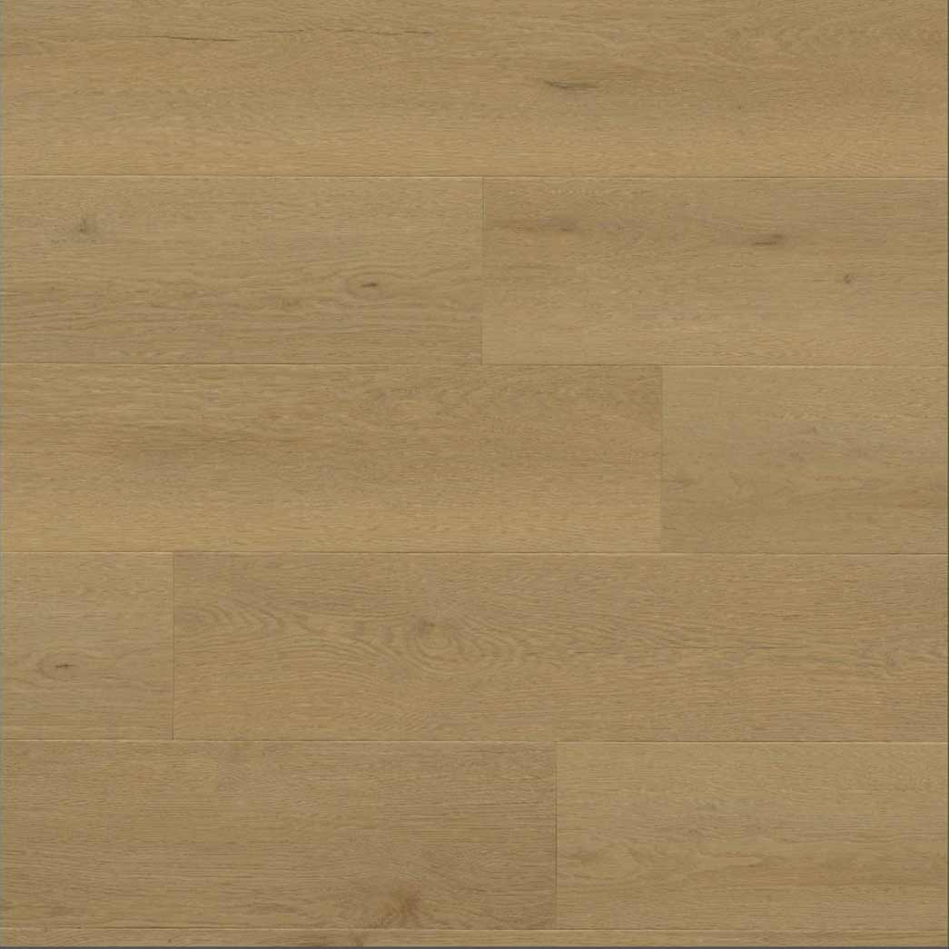 MSI Surfaces WPC Luxury Vinyl Plank Wayne Parc Bluffview VTRBLUFFV9X60