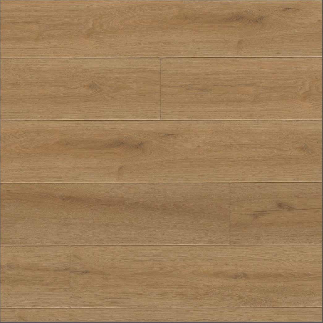 MSI Surfaces WPC Luxury Vinyl Plank Wayne Parc Elwood VTRELWOOD9X60