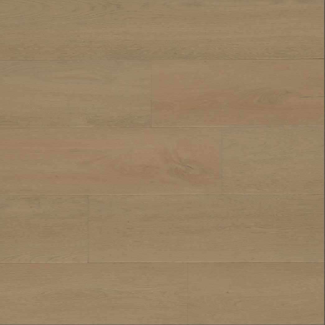 MSI Surfaces WPC Luxury Vinyl Plank Wayne Parc Mellshire VTRMELSHI9X60