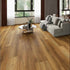 Marquis Luxury Vinyl Plank Platinum Plus 960K 91386 Galveston 601 room