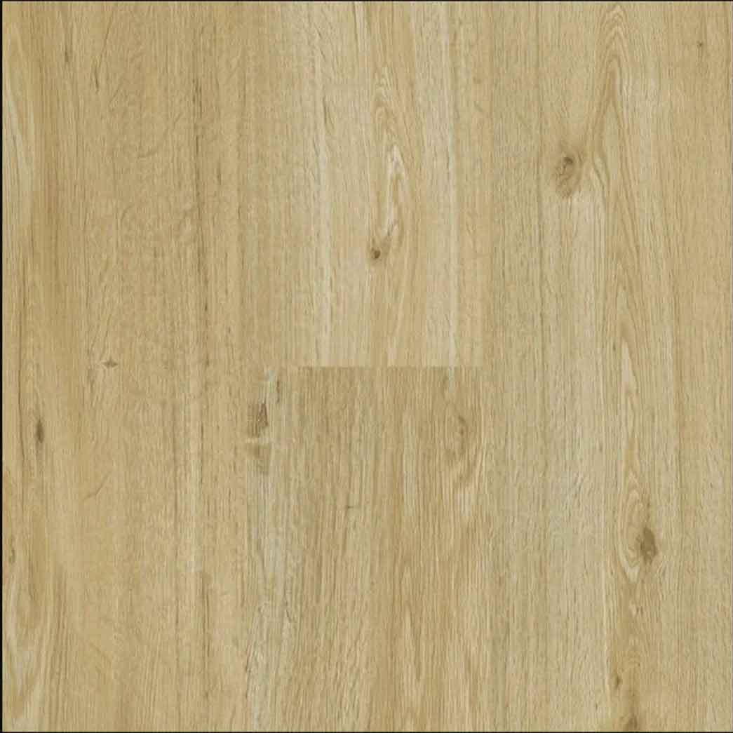 Matrexx Floors Glue Down Luxury Vinyl Plank Elegance Plank Northwood Oak NXF454413