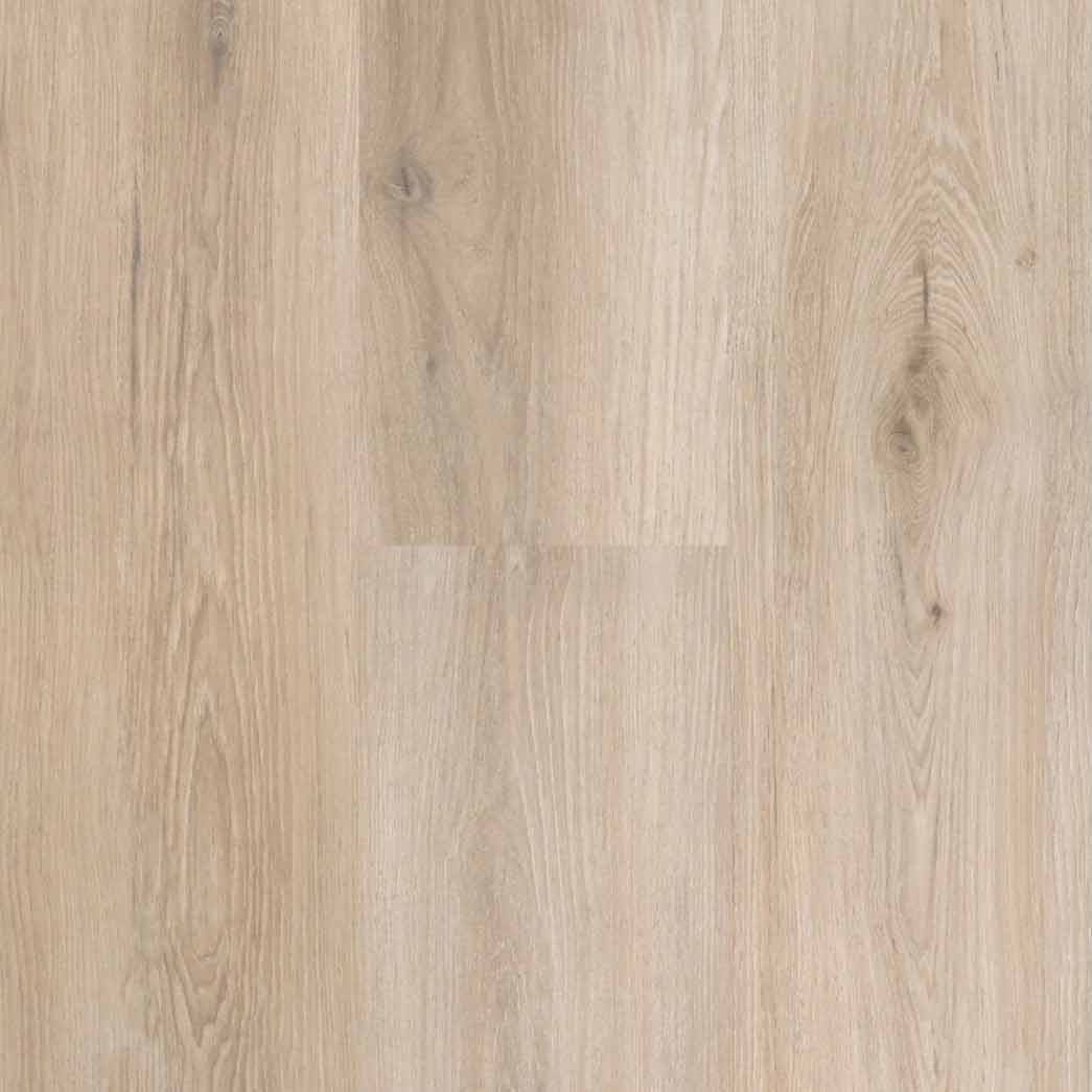 Matrexx Floors Laminate Kings Canyon Chantilly Oak NXFT590001