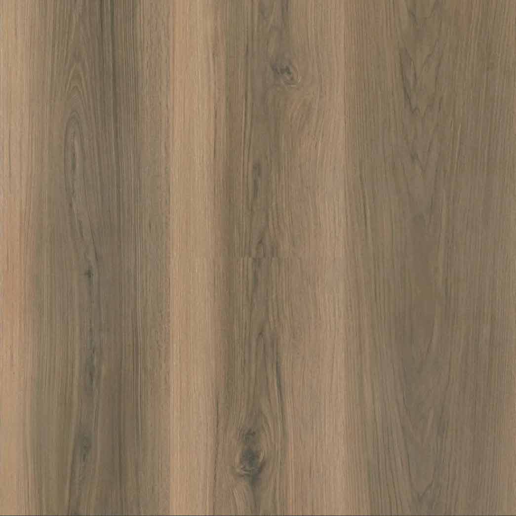 Matrexx Floors Laminate Kings Canyon Tudor Oak NXFT590023