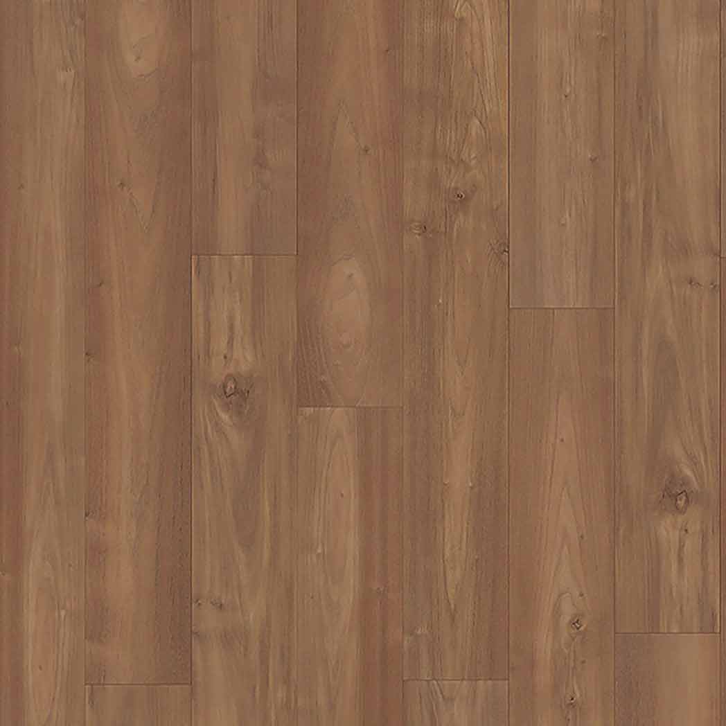 Mohawk Laminate Charlotte Woods AP CDL56 Almond Acacia 350