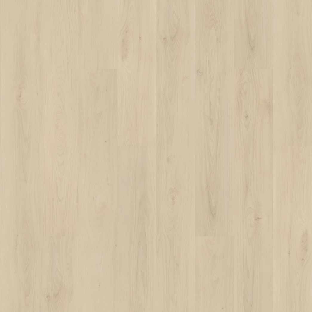 Mohawk Luxury Vinyl Plank Barker Hollow SDP10 Lucy 213