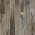 Mohawk Luxury Vinyl Plank Walker Grove PBS02 Raccoon 259