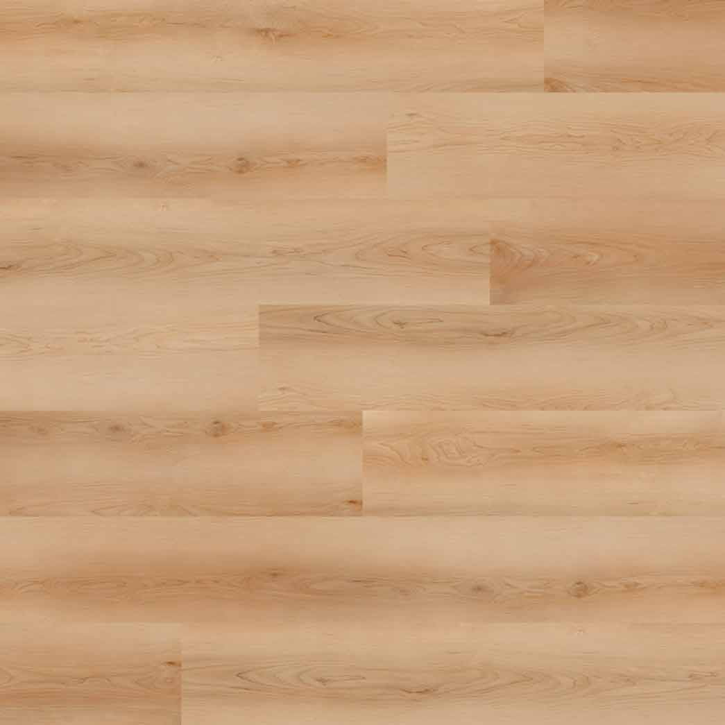 Nova Floor Dansbee Contemporary Maple Malibu NDP012-HDC