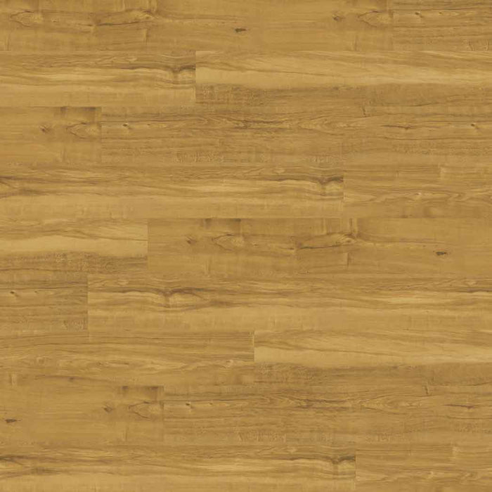 Nova Floor Lyndon Plus 5.75" Width LVT Plank