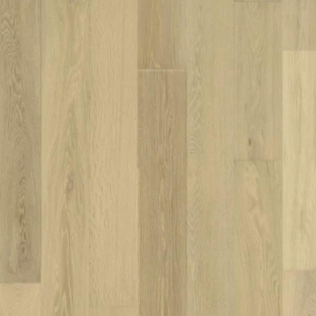 Nuvelle Engineered Hardwood Sea Harbor Collection Sand Dollar HAR113