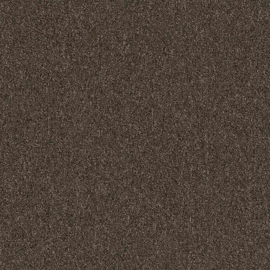 Pentz Carpet Tile Diversified 7037T Bizarre 2050