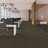 Pentz Carpet Tile Diversified 7037T Bizarre 2050 room
