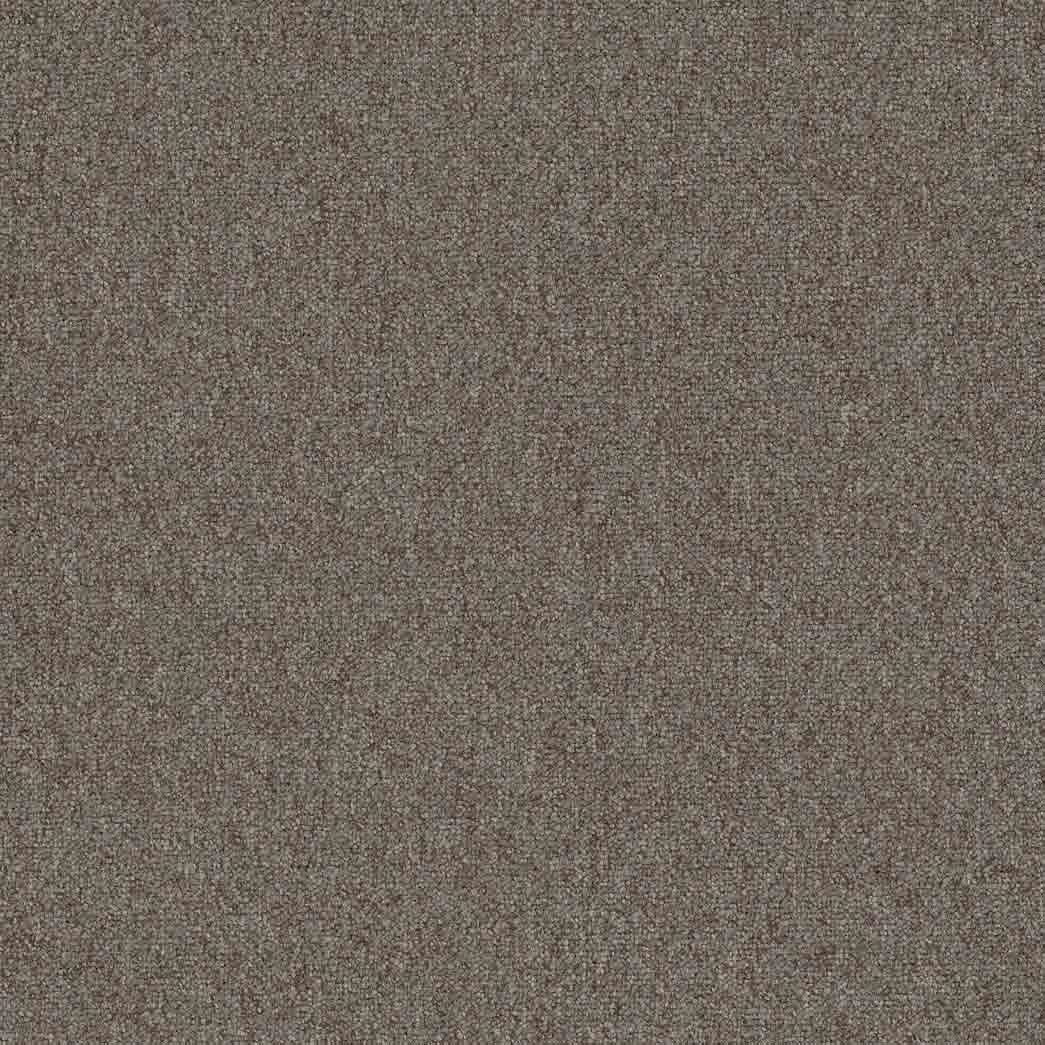 Pentz Carpet Tile Diversified 7037T Discrete 2042