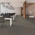 Pentz Carpet Tile Diversified 7037T Discrete 2042 room