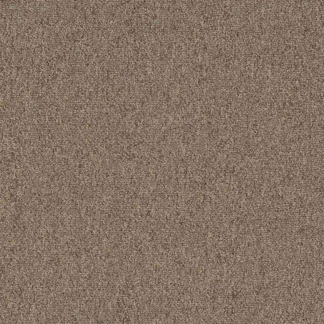 Pentz Carpet Tile Diversified 7037T Muddled 2043