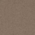 Pentz Carpet Tile Diversified 7037T Muddled 2043