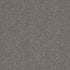 Pentz Carpet Tile Diversified 7037T Offbeat 2040