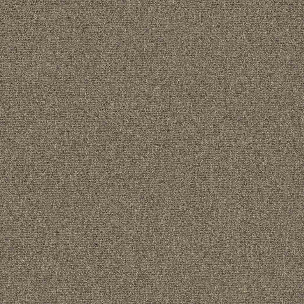Pentz Carpet Tile Diversified 7037T Unique 2041