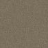 Pentz Carpet Tile Diversified 7037T Unique 2041