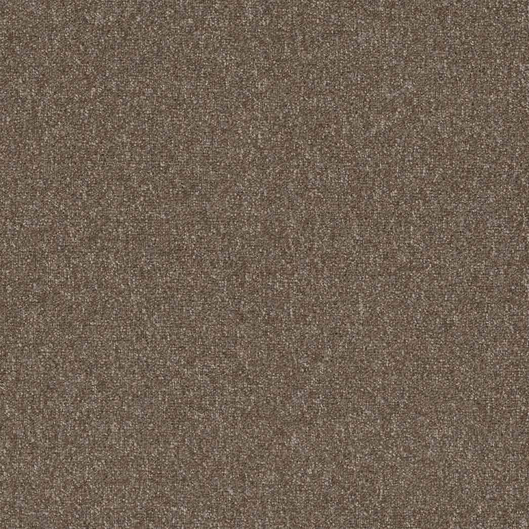 Pentz Carpet Tile Diversified 7037T Varied 2044