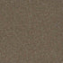 Pentz Carpet Tile Diversified 7037T Varied 2044