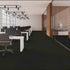 Pentz Carpet Tile Entrance 7447T Fallow 1418 room