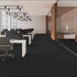 Pentz Carpet Tile Entrance 7447T Nickel 1421 room