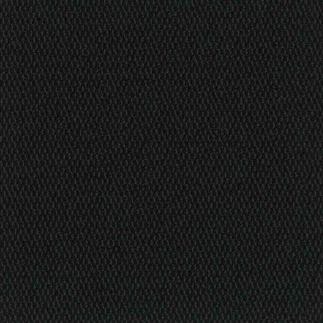 Pentz Carpet Tile Entrance 7447T Onyx 1422