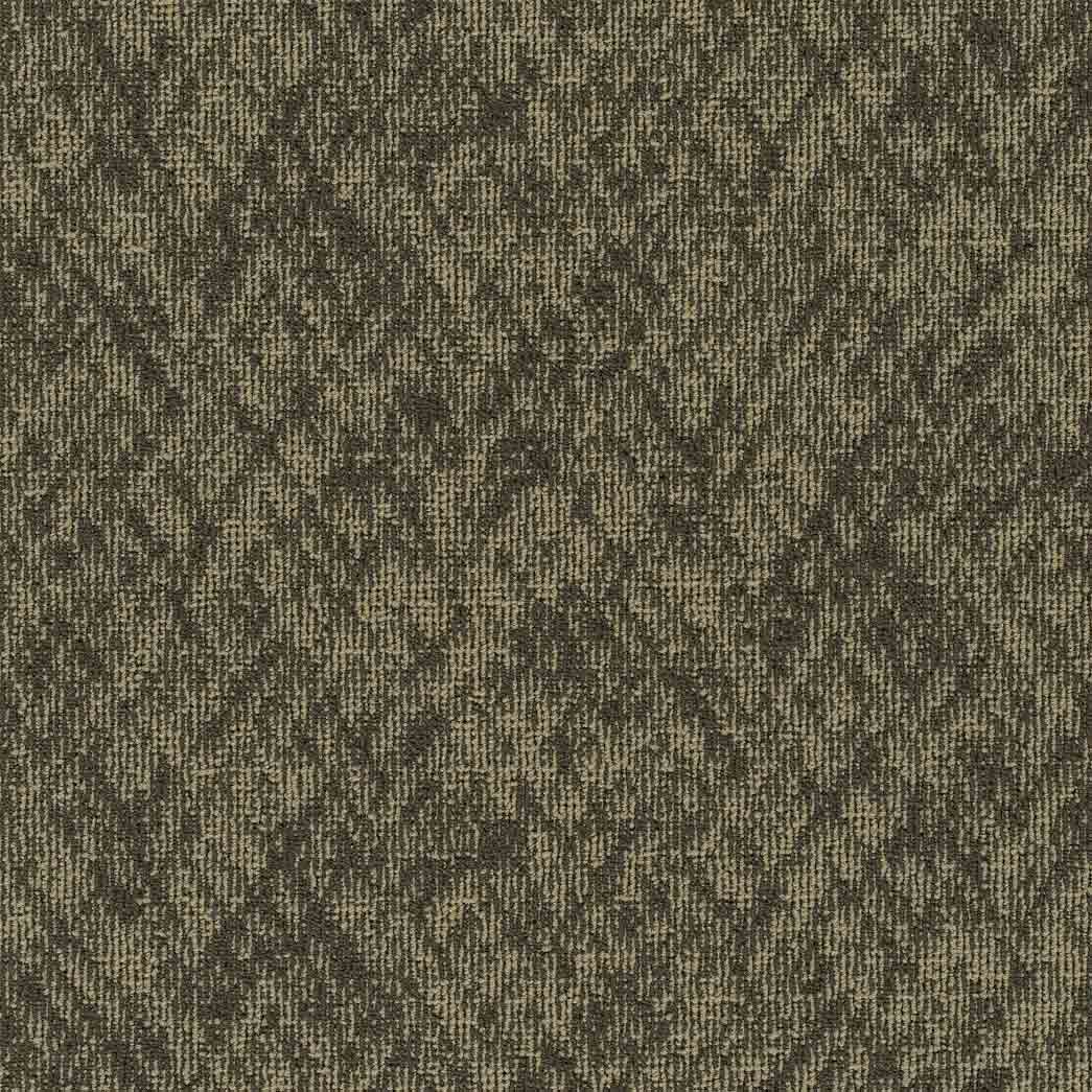 Pentz Carpet Tile Homepage 7552T Cookies 3542